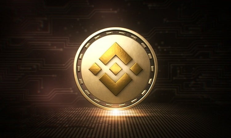 binance coin ekosistemi bileşenleri