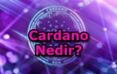 Cardano Nedir?