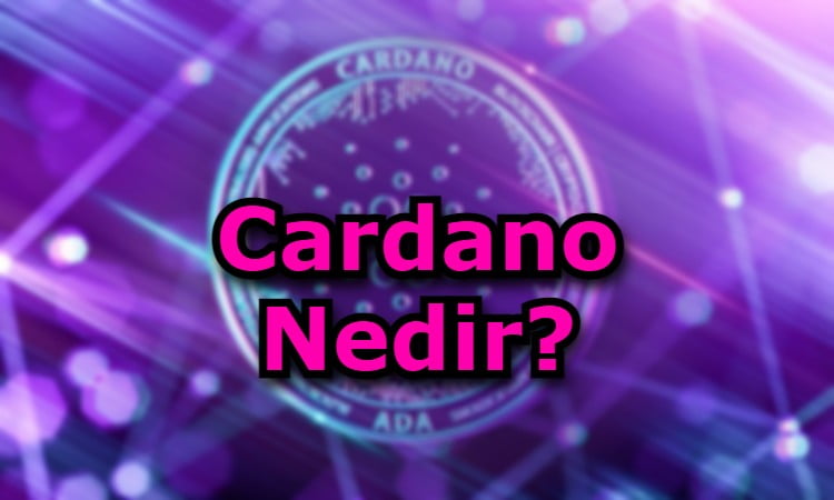 Cardano Nedir?