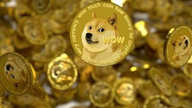 dogecoin amaci nedir