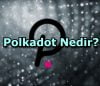 Polkadot Nedir?