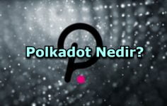 Polkadot Nedir?