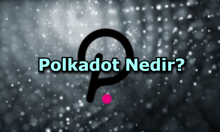 Polkadot Nedir?