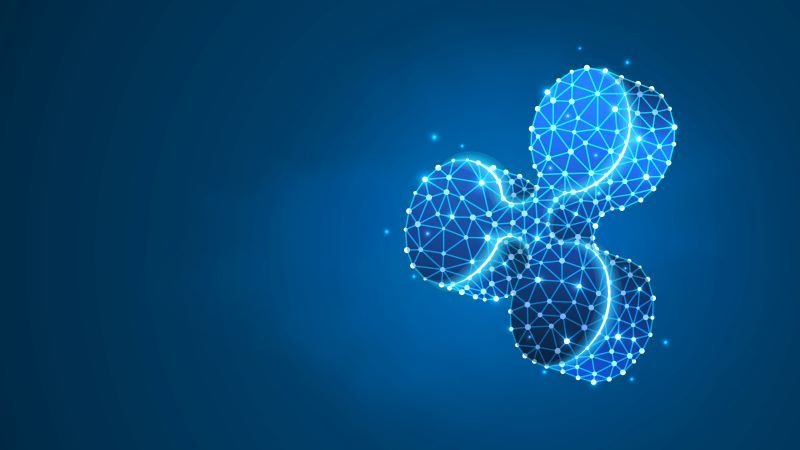 ripple web cuzdan nedir