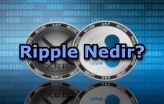 Ripple Nedir?