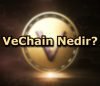 VeChain Nedir?