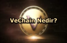 VeChain Nedir?