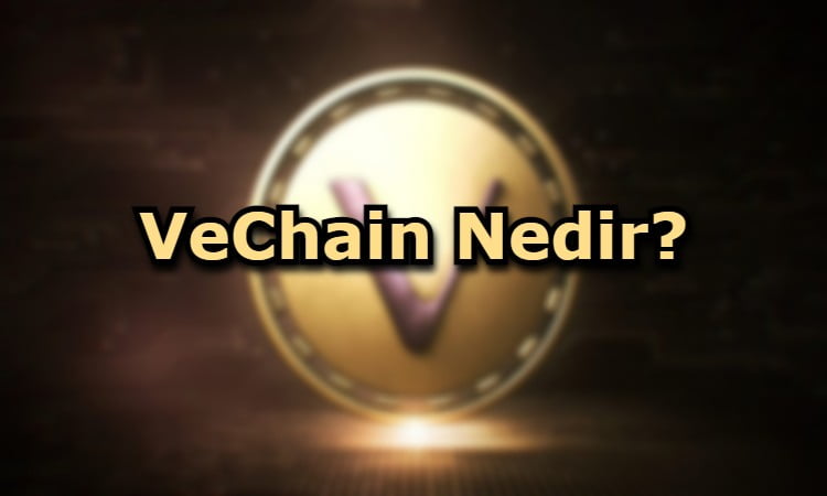 VeChain Nedir?