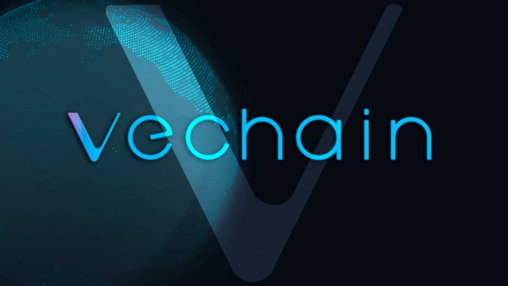 vechain kurulma sureci