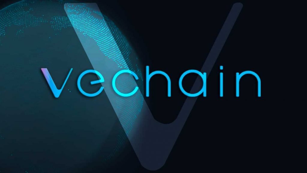 vechain kurulma sureci