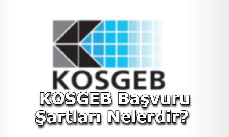 KOSGEB Başvuru Şartları Nelerdir?