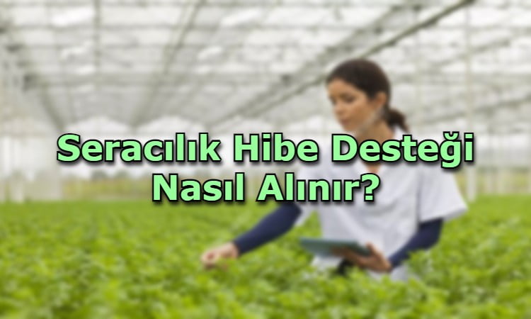 Seracılık Hibe Desteği Nasıl Alınır?