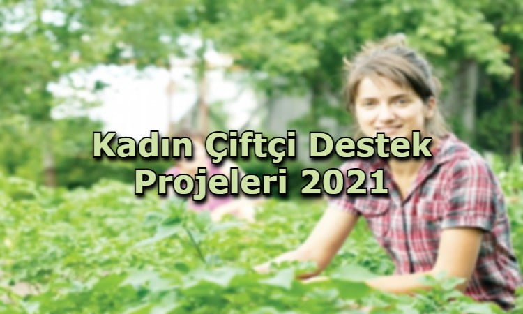 Kadın Çiftçi Destek Projeleri 2021