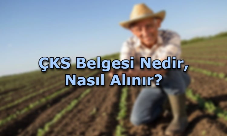 ÇKS Belgesi Nedir, Nasıl Alınır?