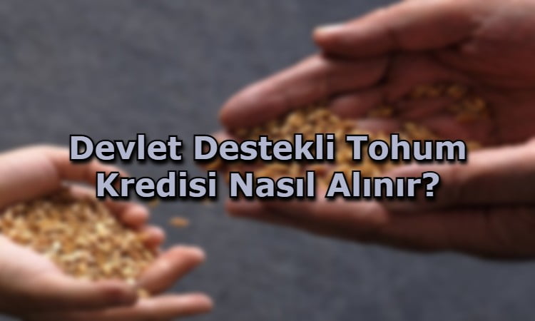 Devlet Destekli Tohum Kredisi Nasıl Alınır?