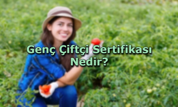 Genç Çiftçi Sertifikası Nedir?