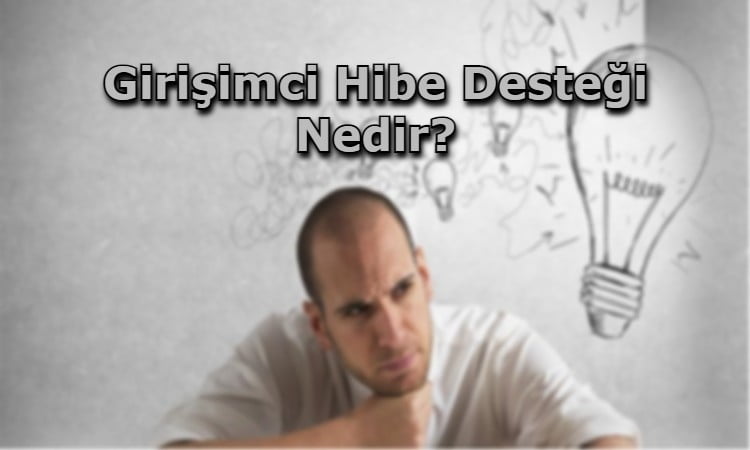 Girişimci Hibe Desteği Nedir?