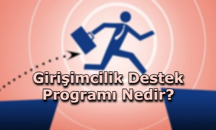 Girişimcilik Destek Programı Nedir?