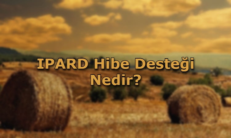 IPARD Hibe Desteği Nedir?