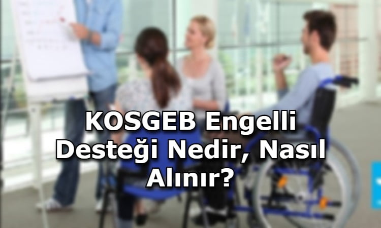 KOSGEB Engelli Desteği Nedir, Nasıl Alınır?