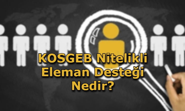 KOSGEB Nitelikli Eleman Desteği Nedir?