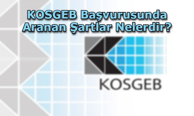 KOSGEB Başvurusunda Aranan Şartlar Nelerdir?