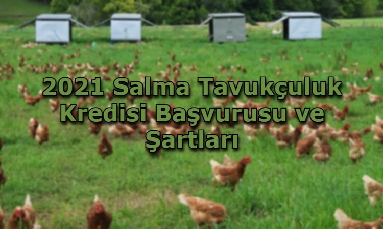 2021 Salma Tavukçuluk Kredisi Başvurusu ve Şartları