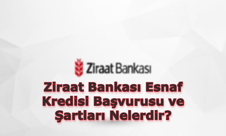 Ziraat Bankası Esnaf Kredisi Başvurusu ve Şartları Nelerdir?