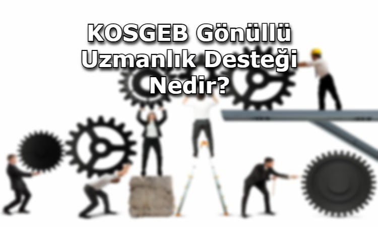 KOSGEB Gönüllü Uzmanlık Desteği Nedir?