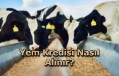 Yem Kredisi Nasıl Alınır?