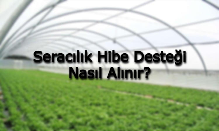 Seracılık Hibe Desteği Nasıl Alınır?