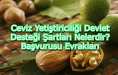 Ceviz Yetiştiriciliği Devlet Desteği Şartları Nelerdir? Başvurusu Evrakları